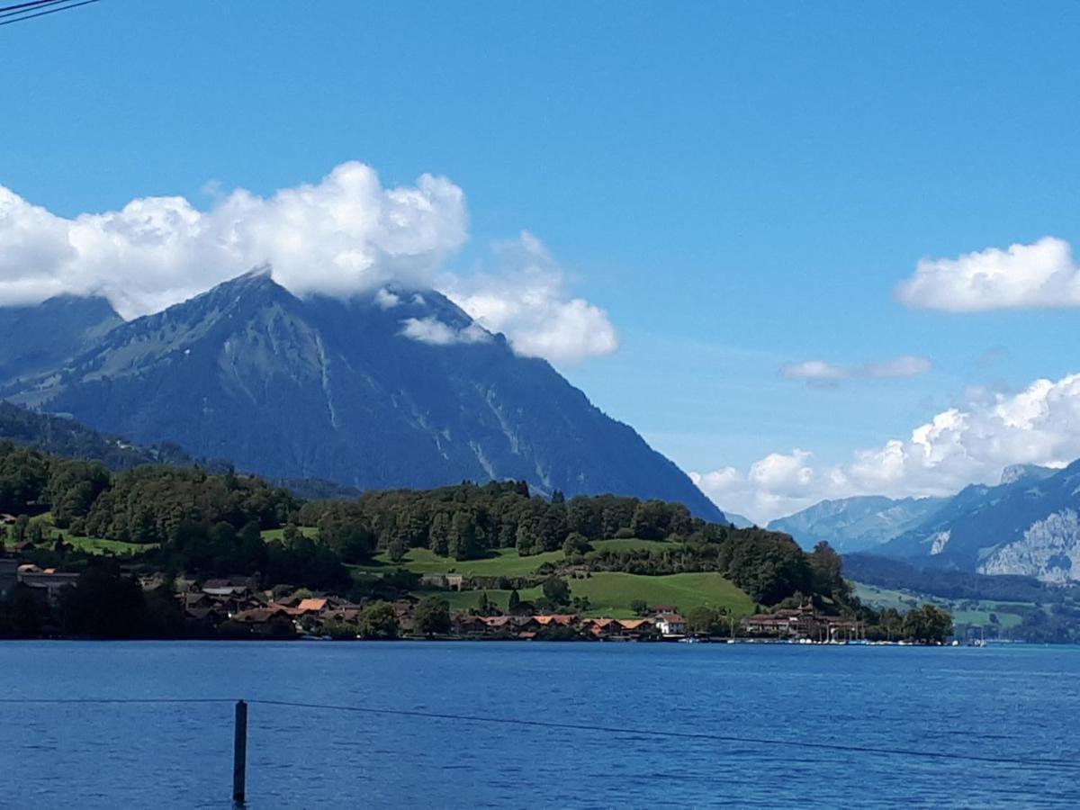Berner Oberland Am Thunersee Därligen エクステリア 写真