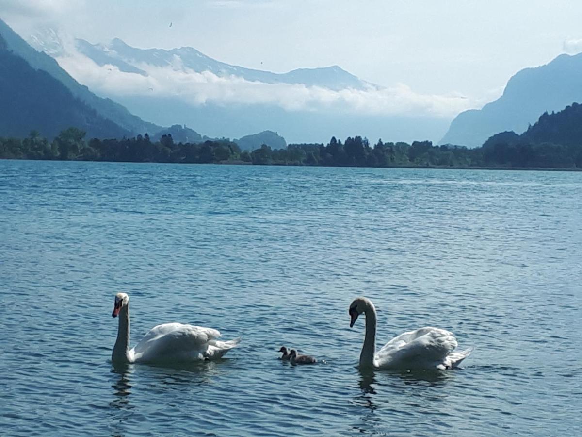 Berner Oberland Am Thunersee Därligen エクステリア 写真