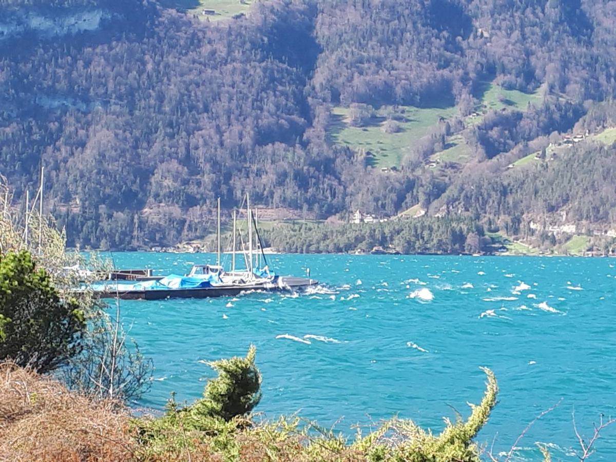 Berner Oberland Am Thunersee Därligen エクステリア 写真